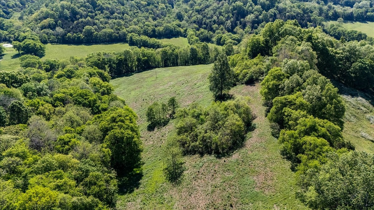 7480 Beech Hill Road Pulaski, TN 38478 - Photo 44 of 54 an aerial view of a house with a yard