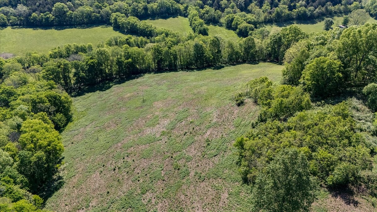 7480 Beech Hill Road Pulaski, TN 38478 - Photo 45 of 54 a view of a forest with a lake