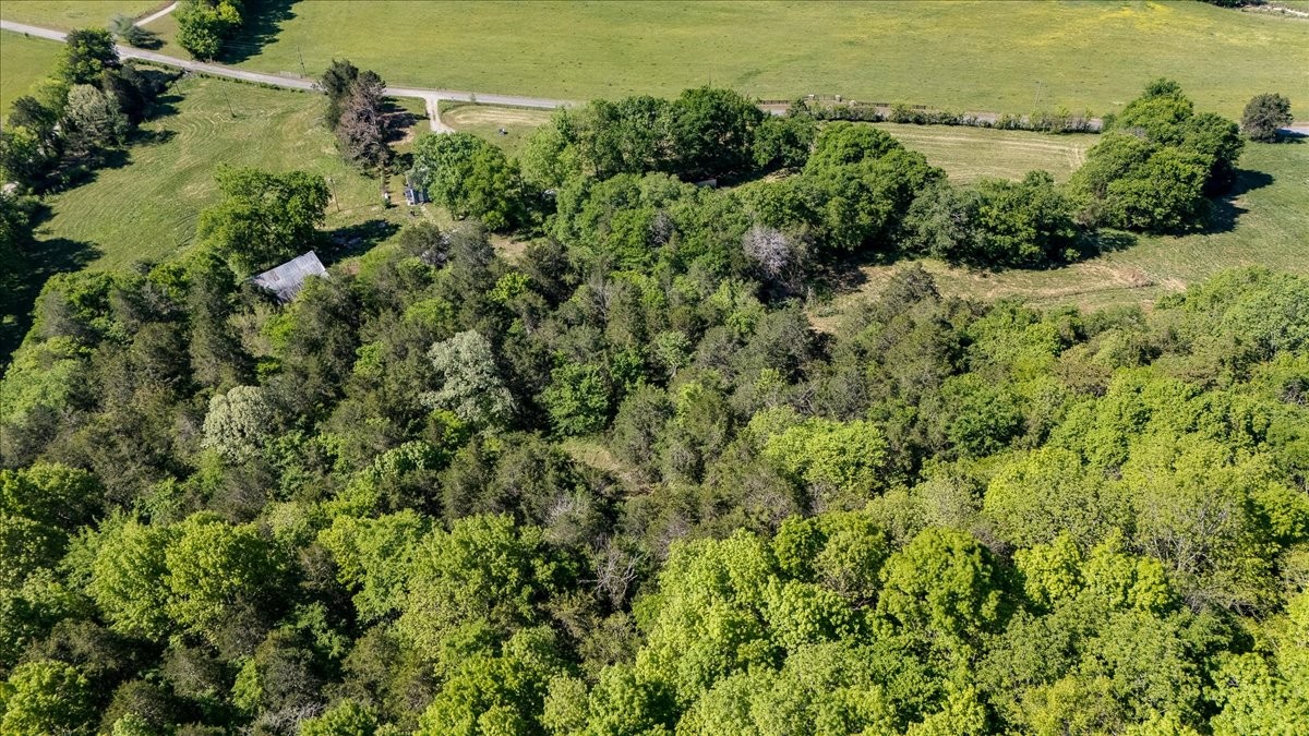 7480 Beech Hill Road Pulaski, TN 38478 - Photo 47 of 54 an aerial view of a houses with a yard