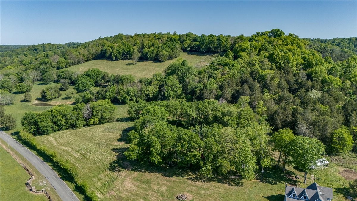 7480 Beech Hill Road Pulaski, TN 38478 - Photo 49 of 54 a view of a garden with a building