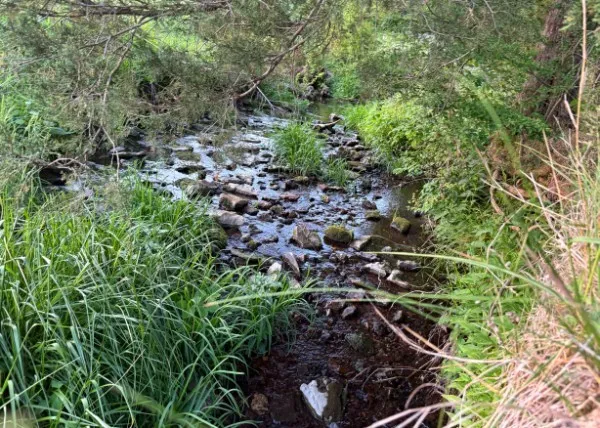 $525,000 | 7480 Beech Hill Road, Pulaski, TN 38478