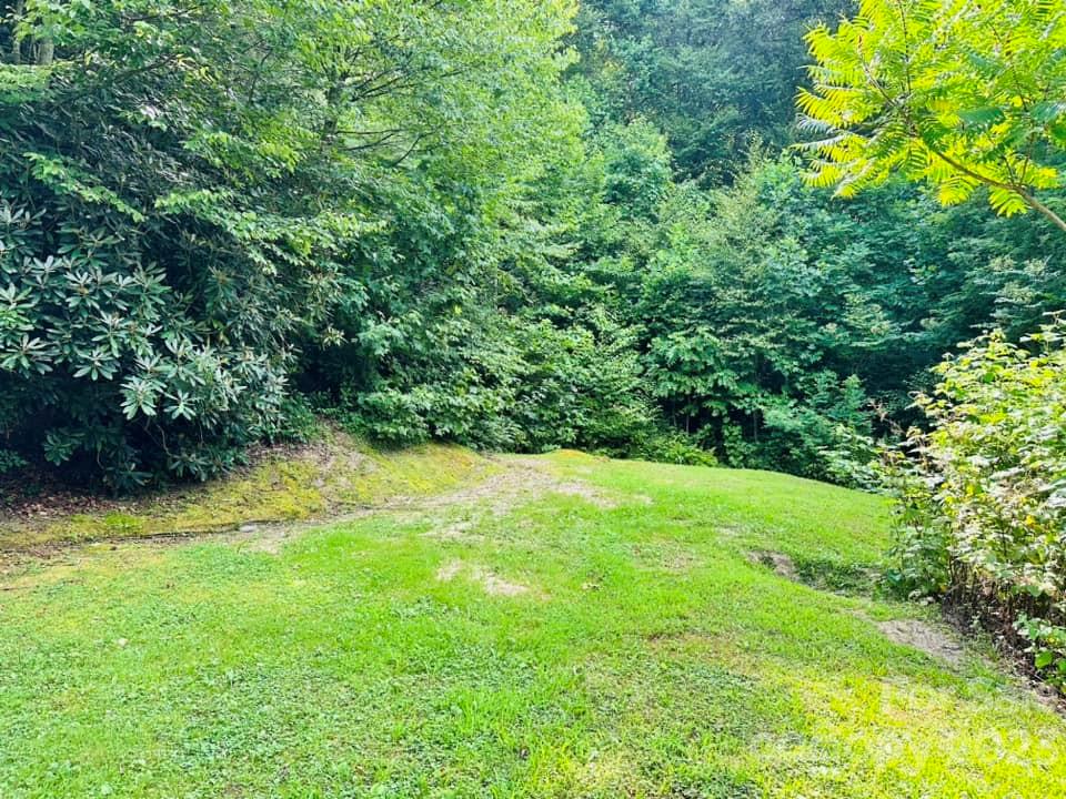 7019 Crabtree Road Spruce Pine, NC 28777 - Photo 23 of 37 Gallery Image 23