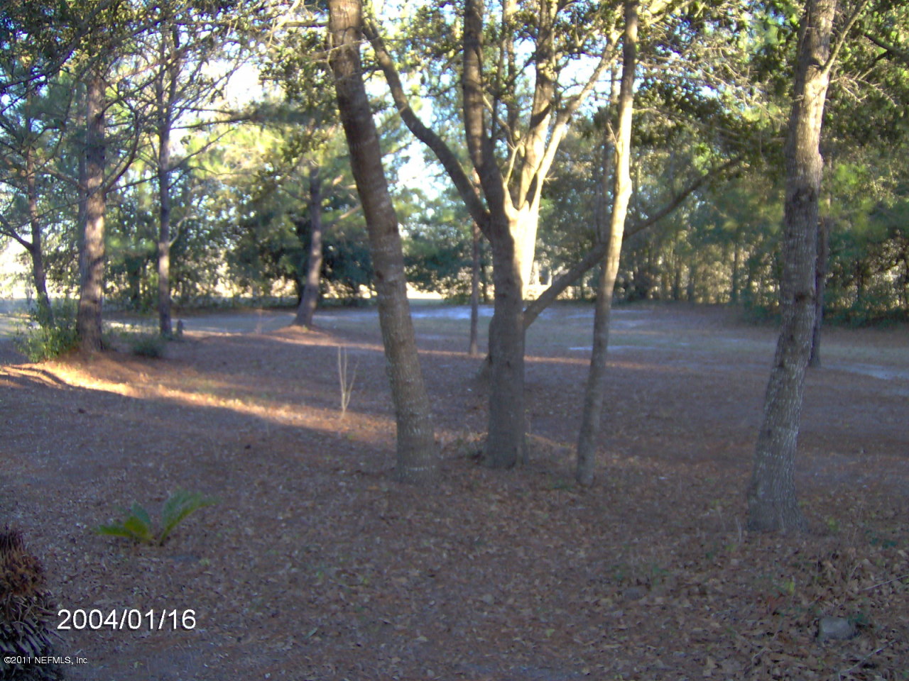 2633 Jones Road Jacksonville, FL 32220 - Photo 6 of 15 Jones Rd 6