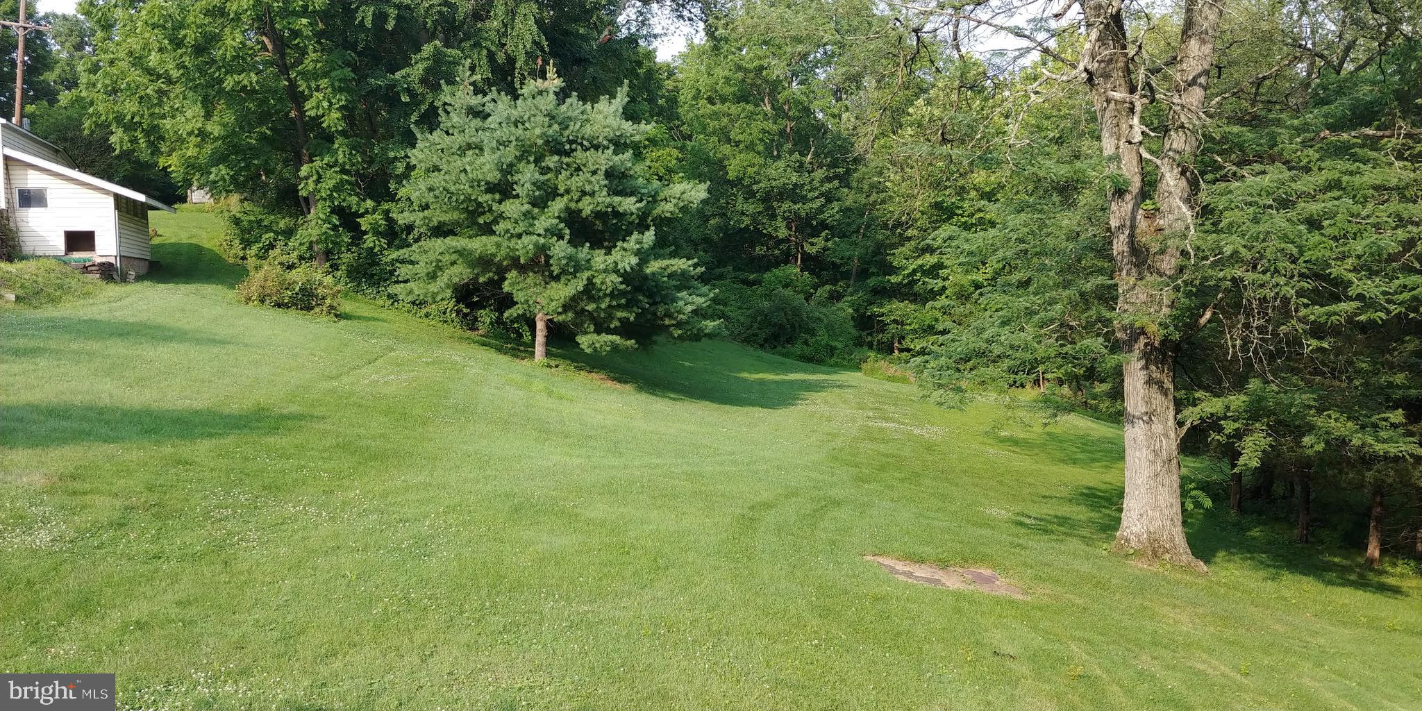 818 Worthington Mill Road Newtown, PA 18940 - Photo 26 of 29 Yard view ...