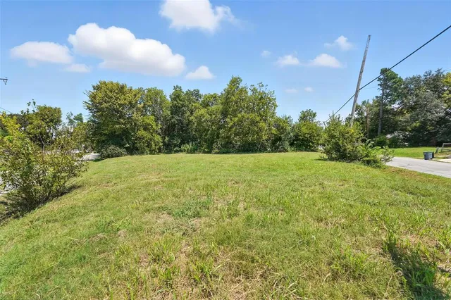 a view of a grassy field with trees in the background