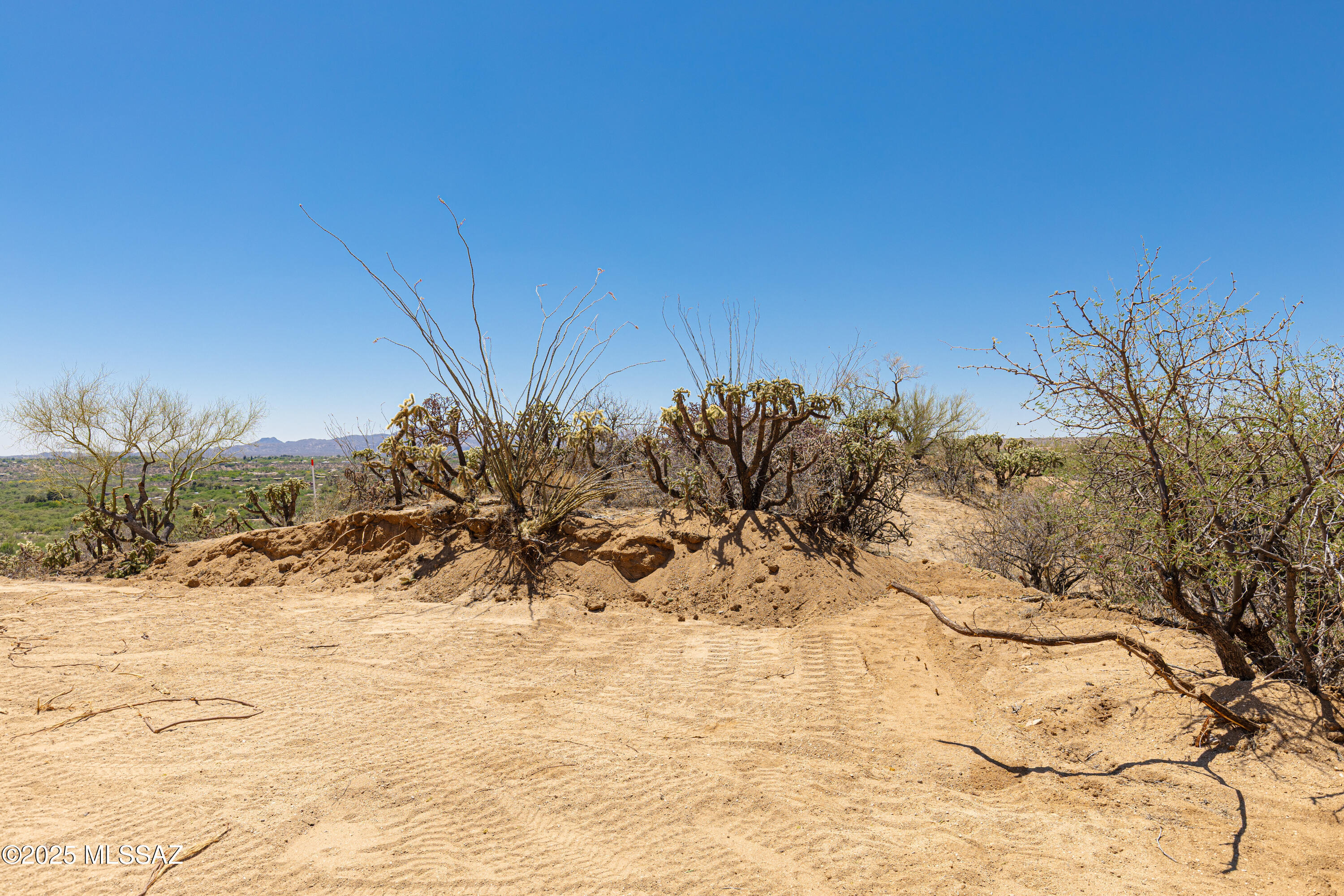 0 South Dodge Canyon Road, Unit 1 Tucson, AZ 85739 - Photo 10 of 20