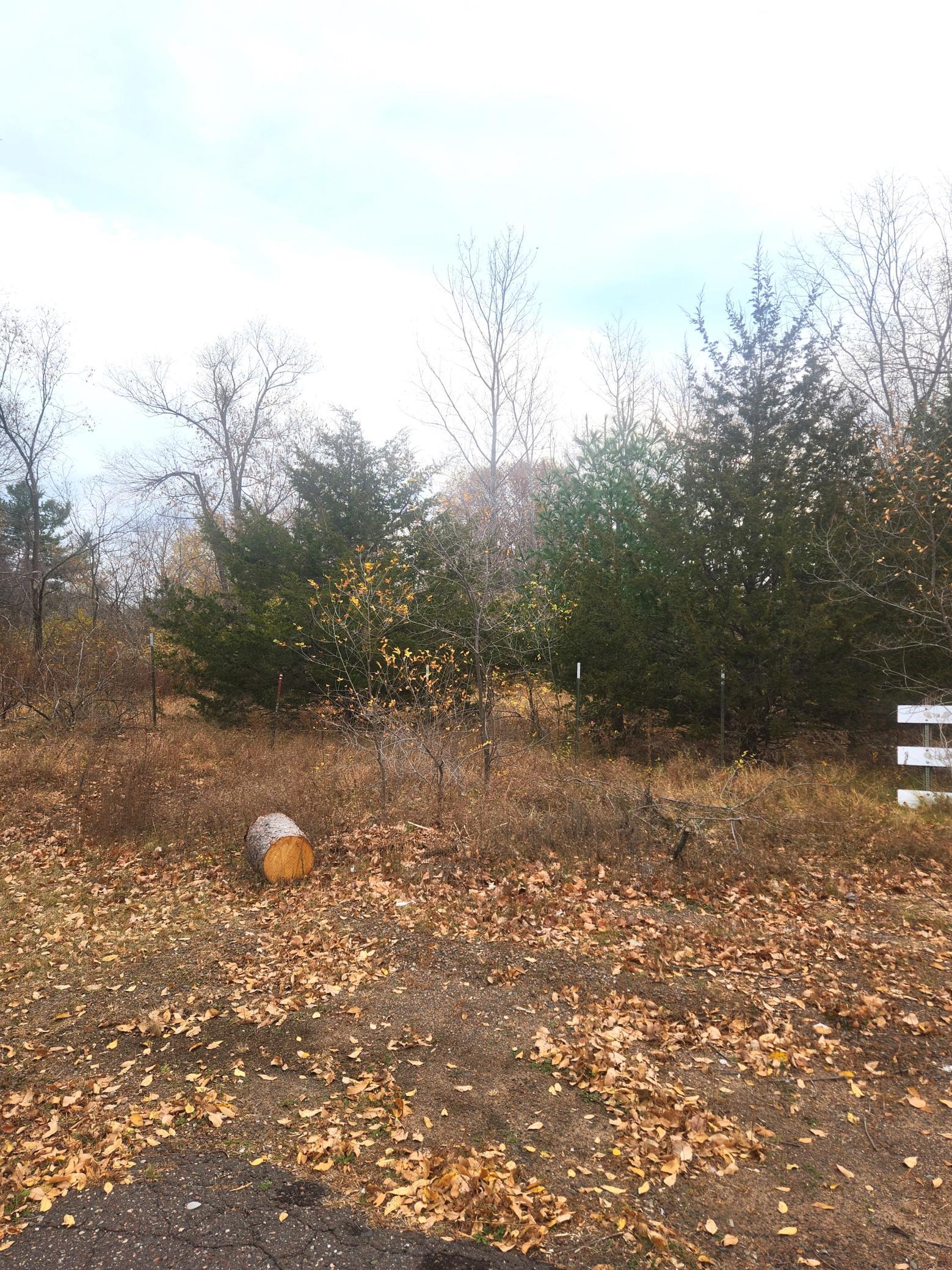 Xxx West Leonard Street Chetek, WI 54728 - Photo 2 of 3