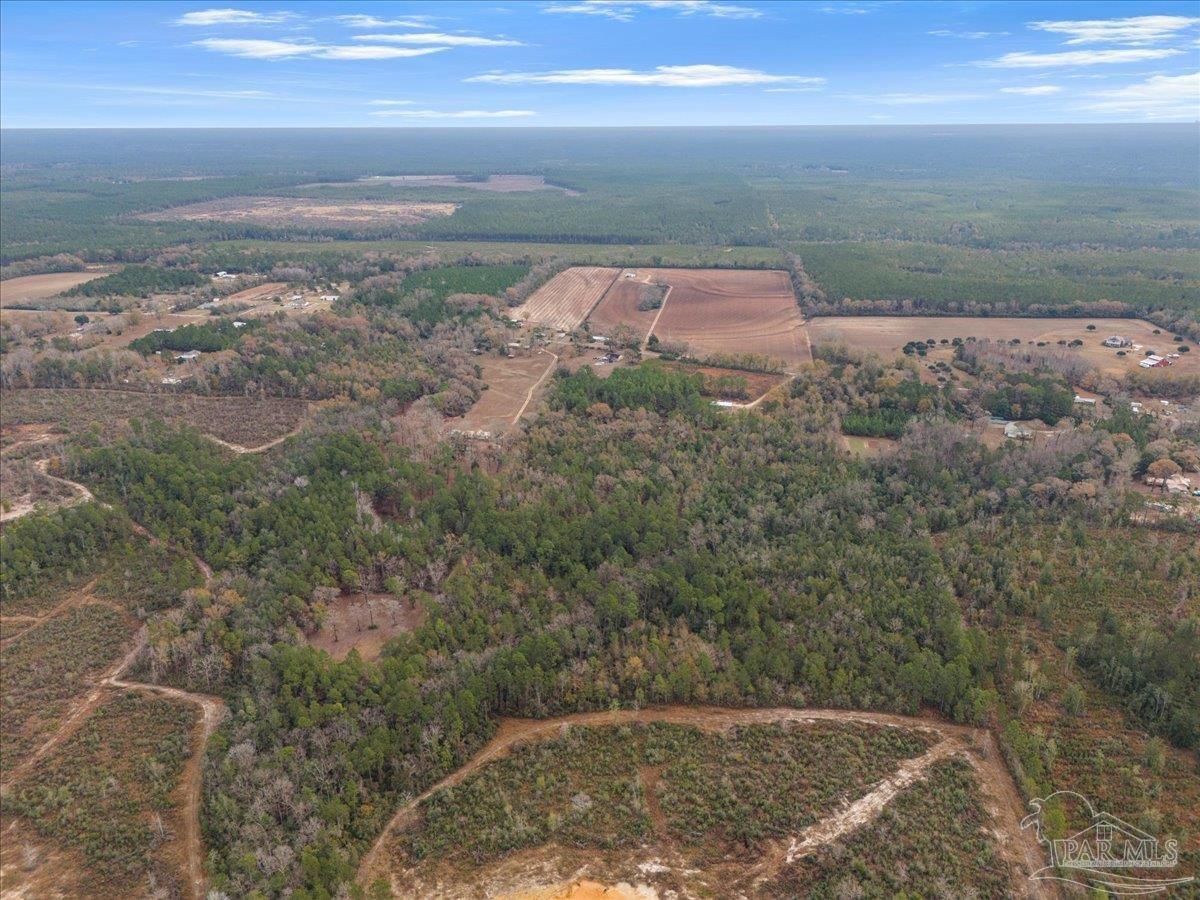 Lot 1 Lewis Road Milton, FL 32570 - Photo 12 of 18
