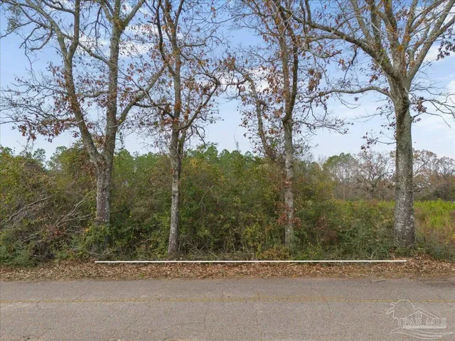 $215,000 | Lot 1 Lewis Road, Milton, FL 32570