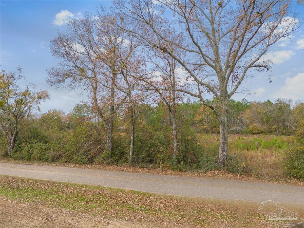Lot 1 Lewis Road Milton, FL 32570 - Photo 18 of 18