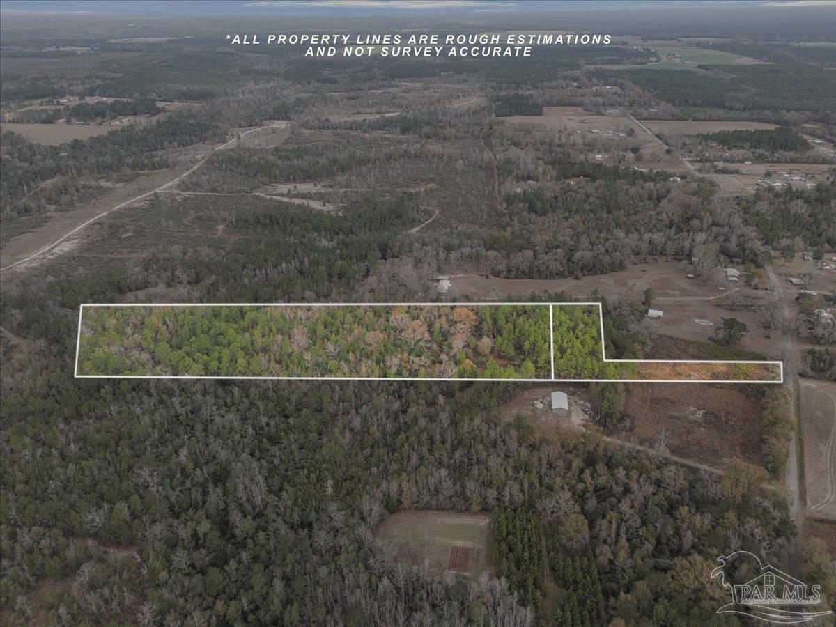 Lot 1 Lewis Road Milton, FL 32570 - Photo 4 of 18