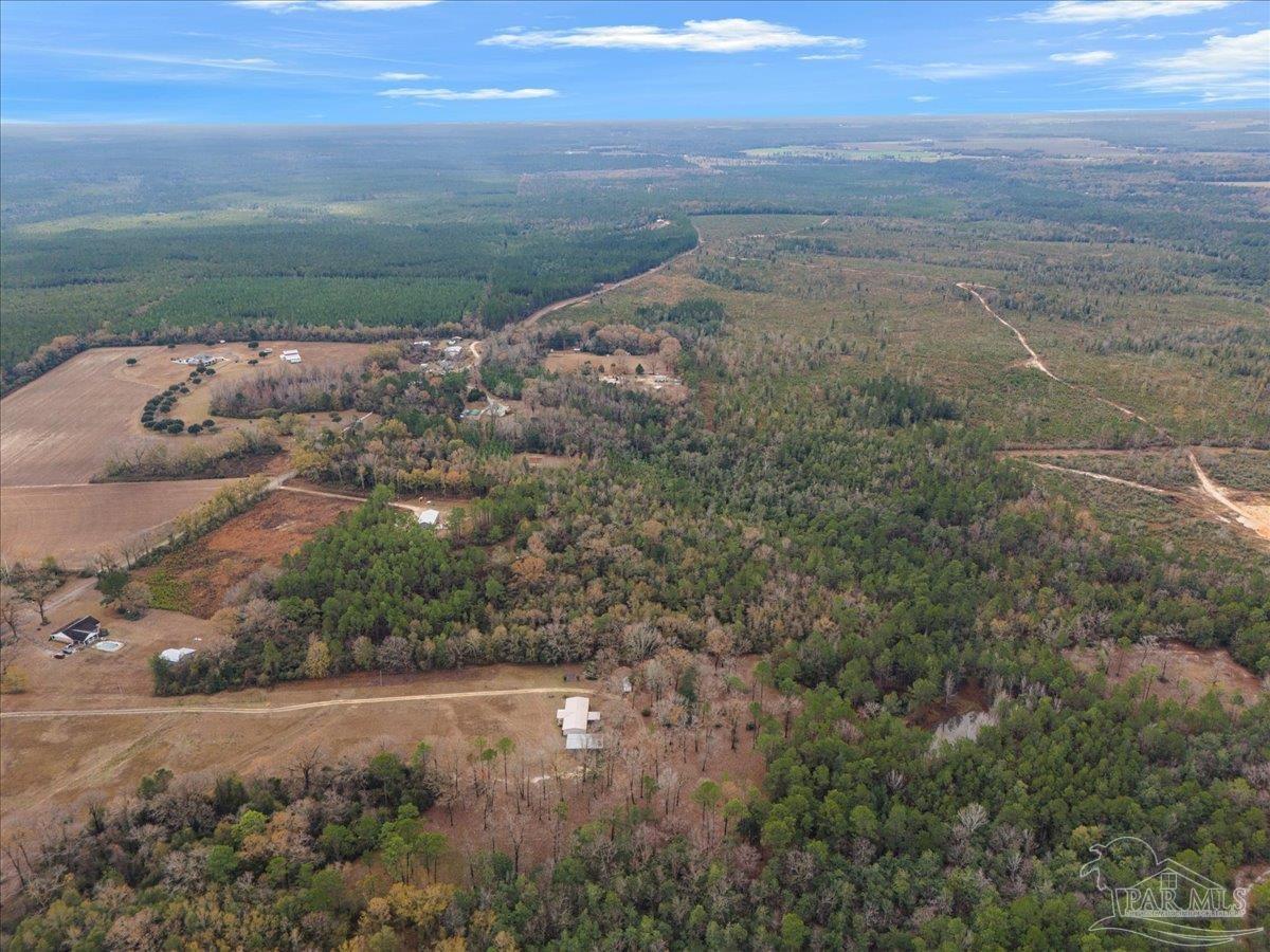 Lot 1 Lewis Road Milton, FL 32570 - Photo 8 of 18