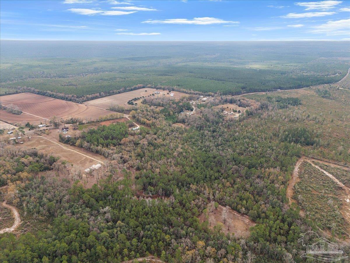 Lot 1 Lewis Road Milton, FL 32570 - Photo 10 of 18