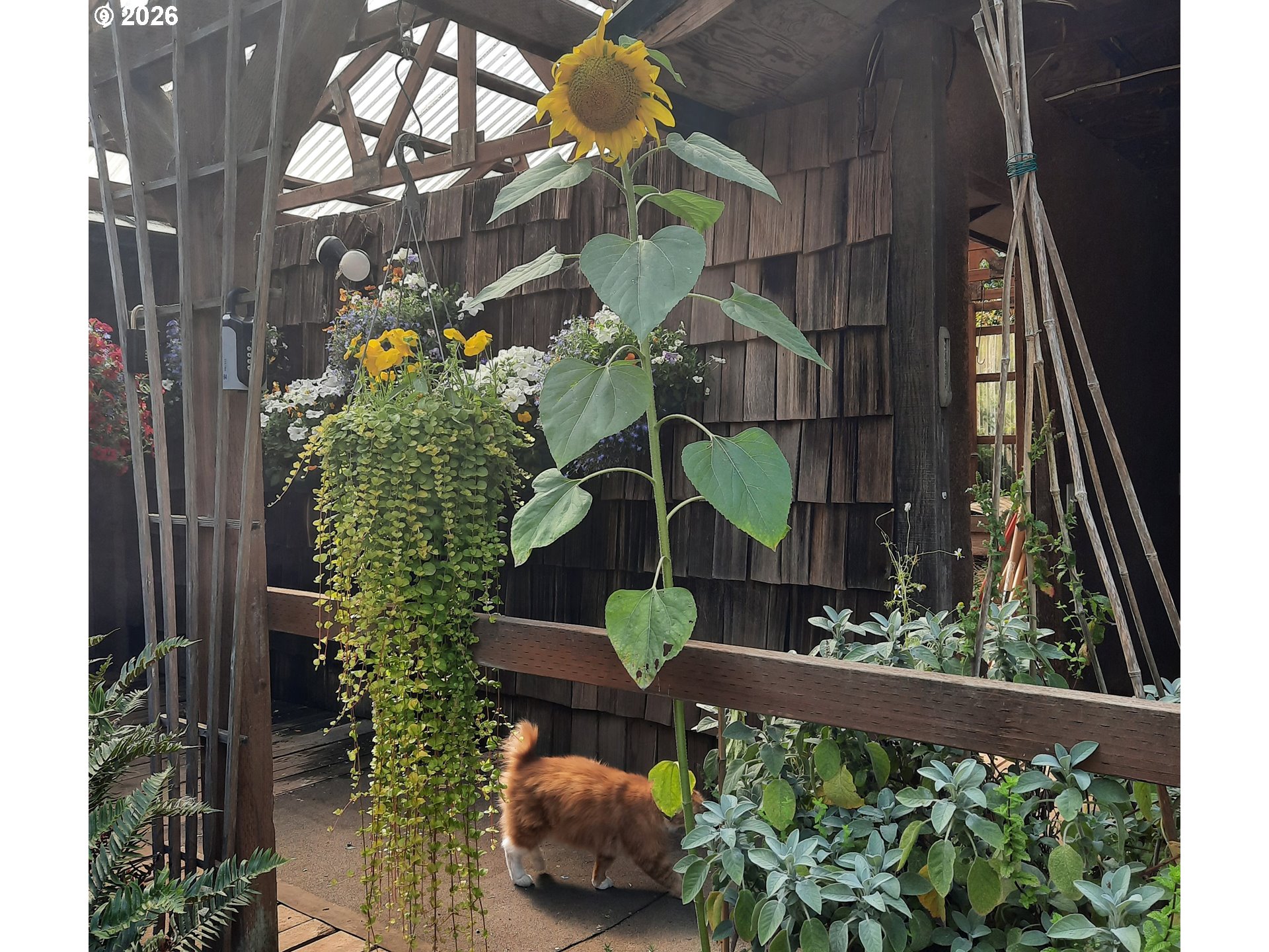 57490 Randolph Road Bandon, OR 97411 - Photo 13 of 43