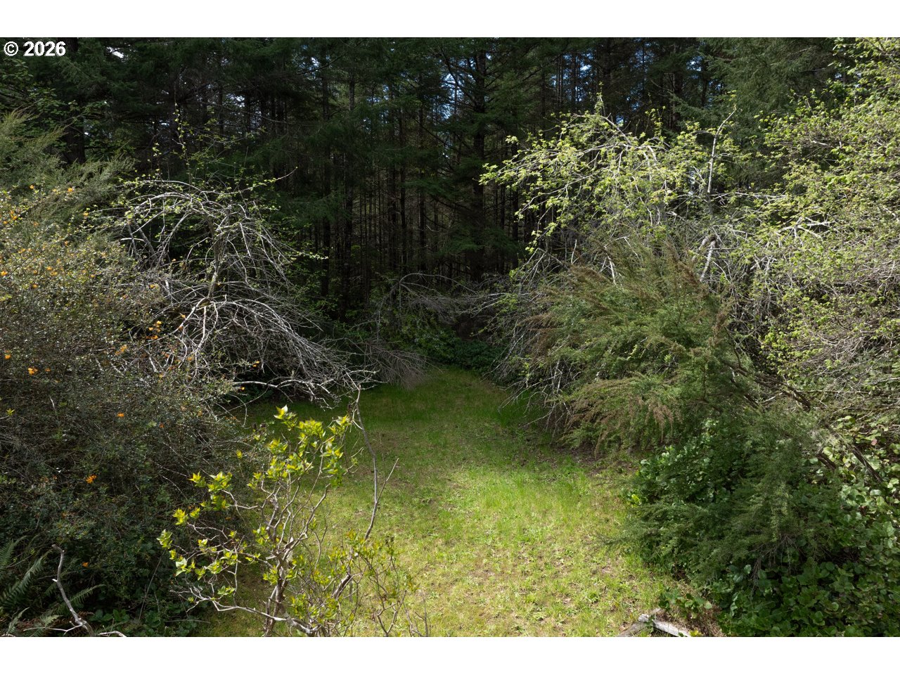 57490 Randolph Road Bandon, OR 97411 - Photo 42 of 43