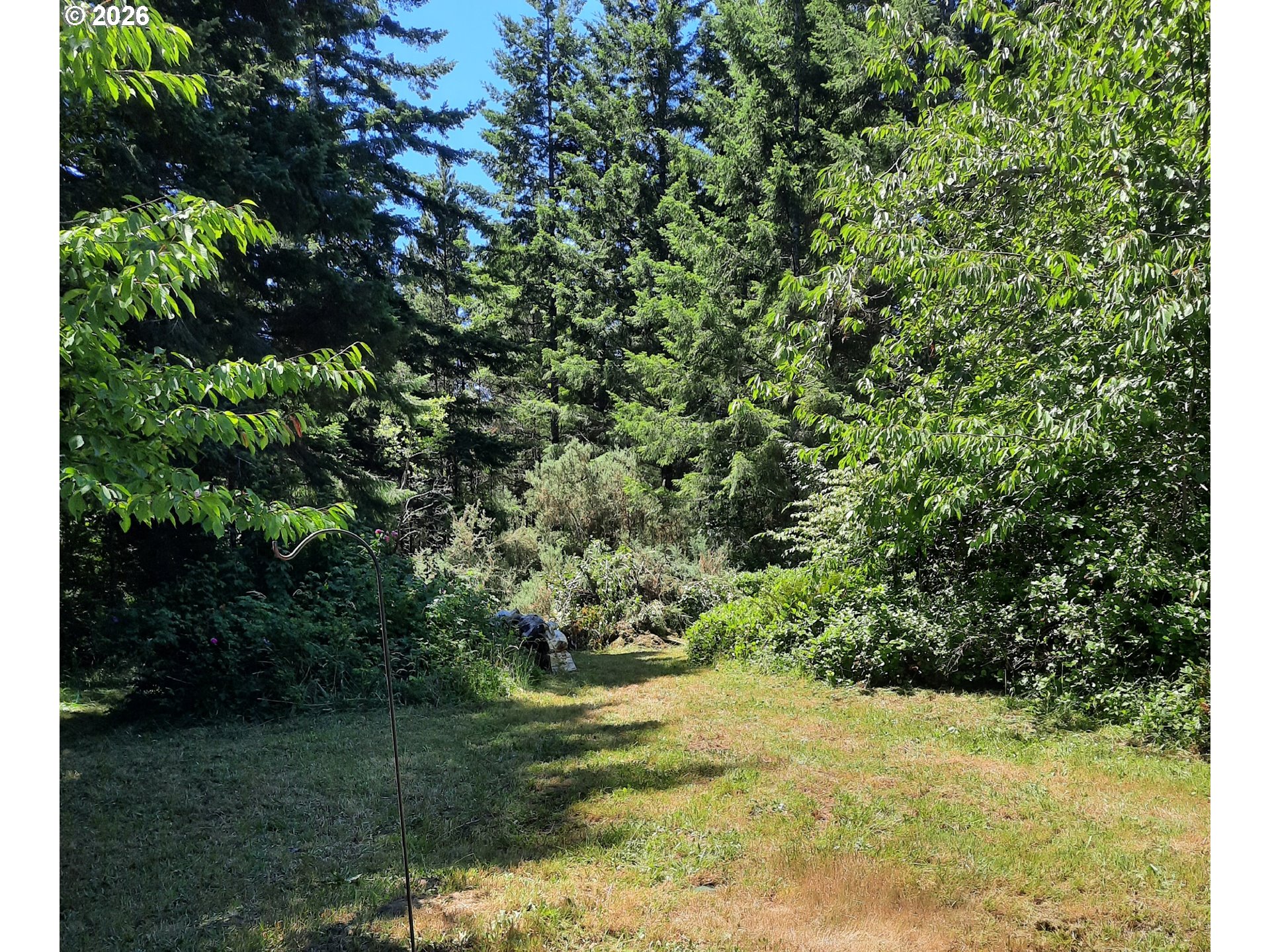 57490 Randolph Road Bandon, OR 97411 - Photo 8 of 43