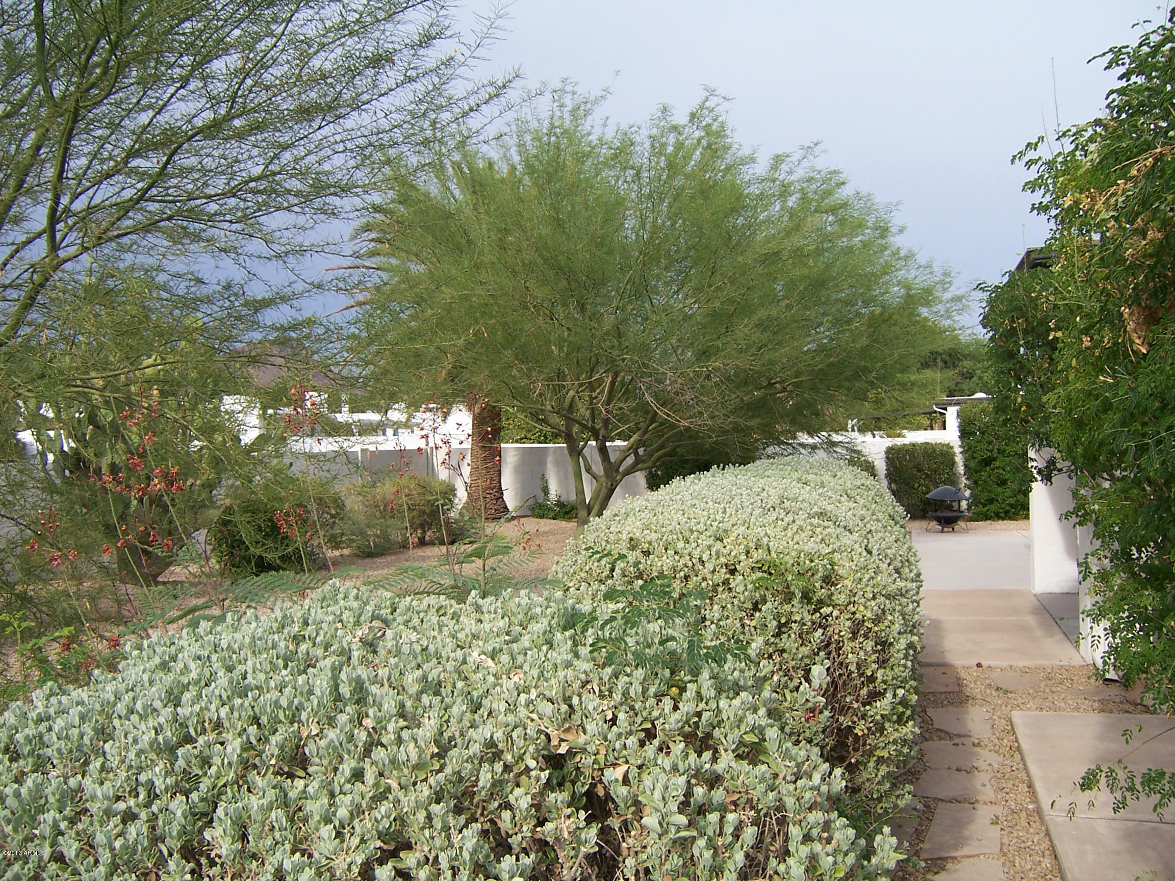 548 East Calavar Road Phoenix, AZ 85022 - Photo 27 of 32 back yard 4