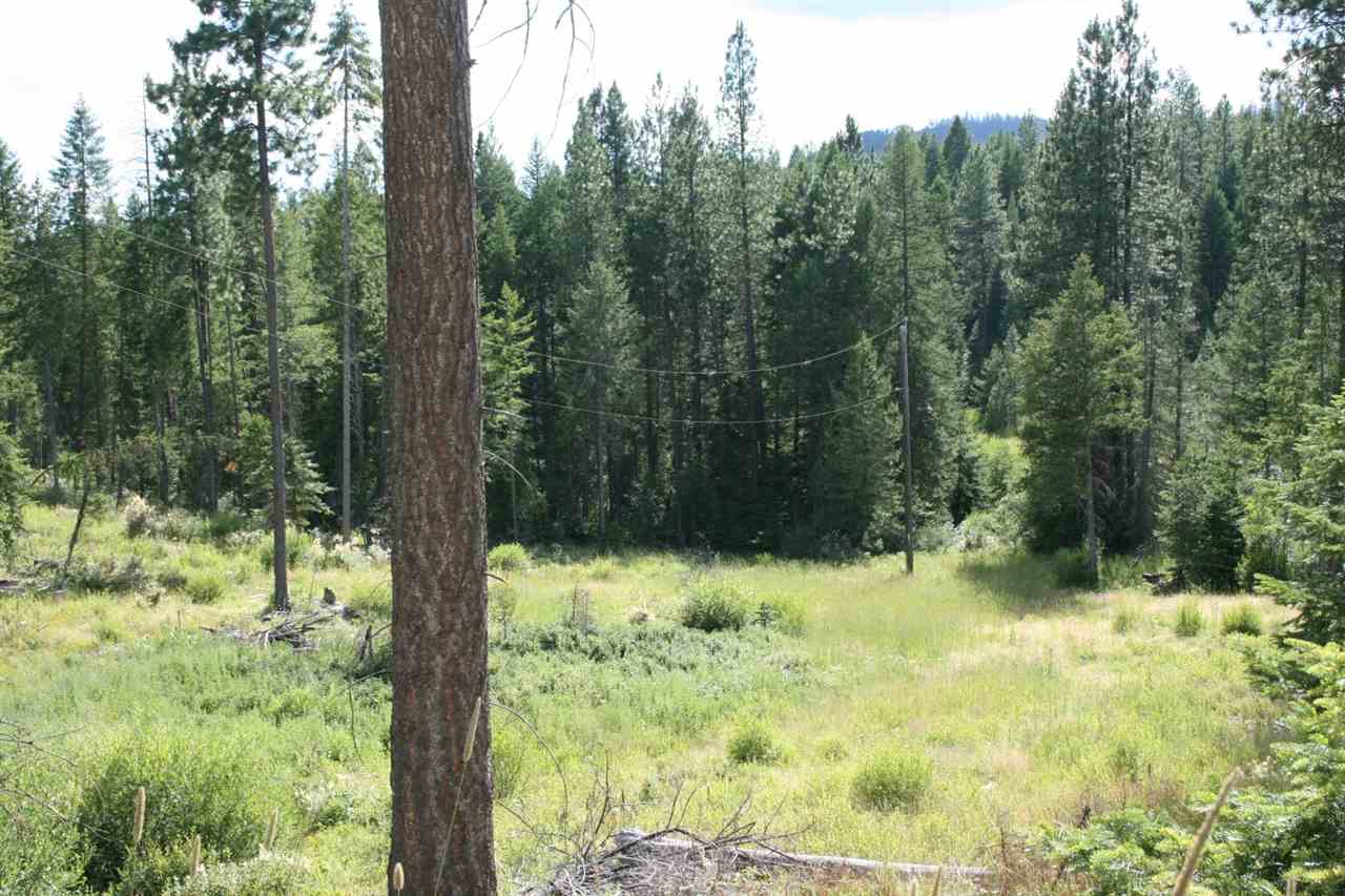 0 Olinger Road, Unit LOT A Springdale, WA 99173 - Photo 1 of 7