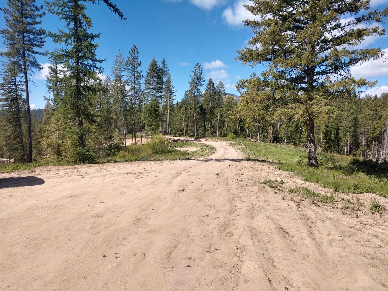 0 Olinger Road, Unit LOT A Springdale, WA 99173 - Photo 2 of 7