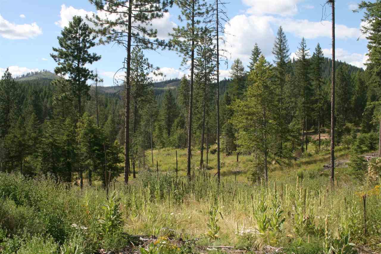 0 Olinger Road, Unit LOT A Springdale, WA 99173 - Photo 3 of 7