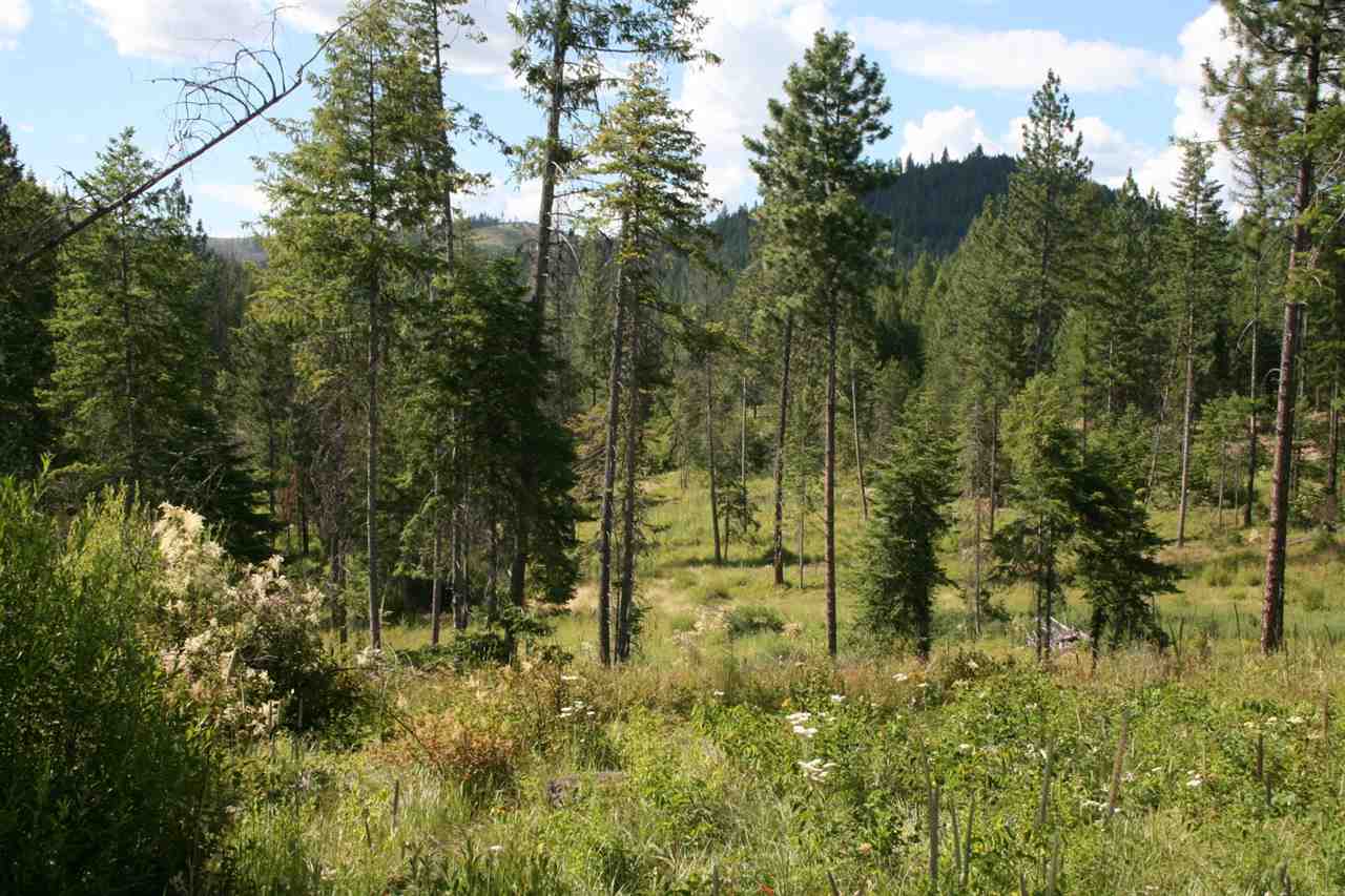 0 Olinger Road, Unit LOT A Springdale, WA 99173 - Photo 4 of 7