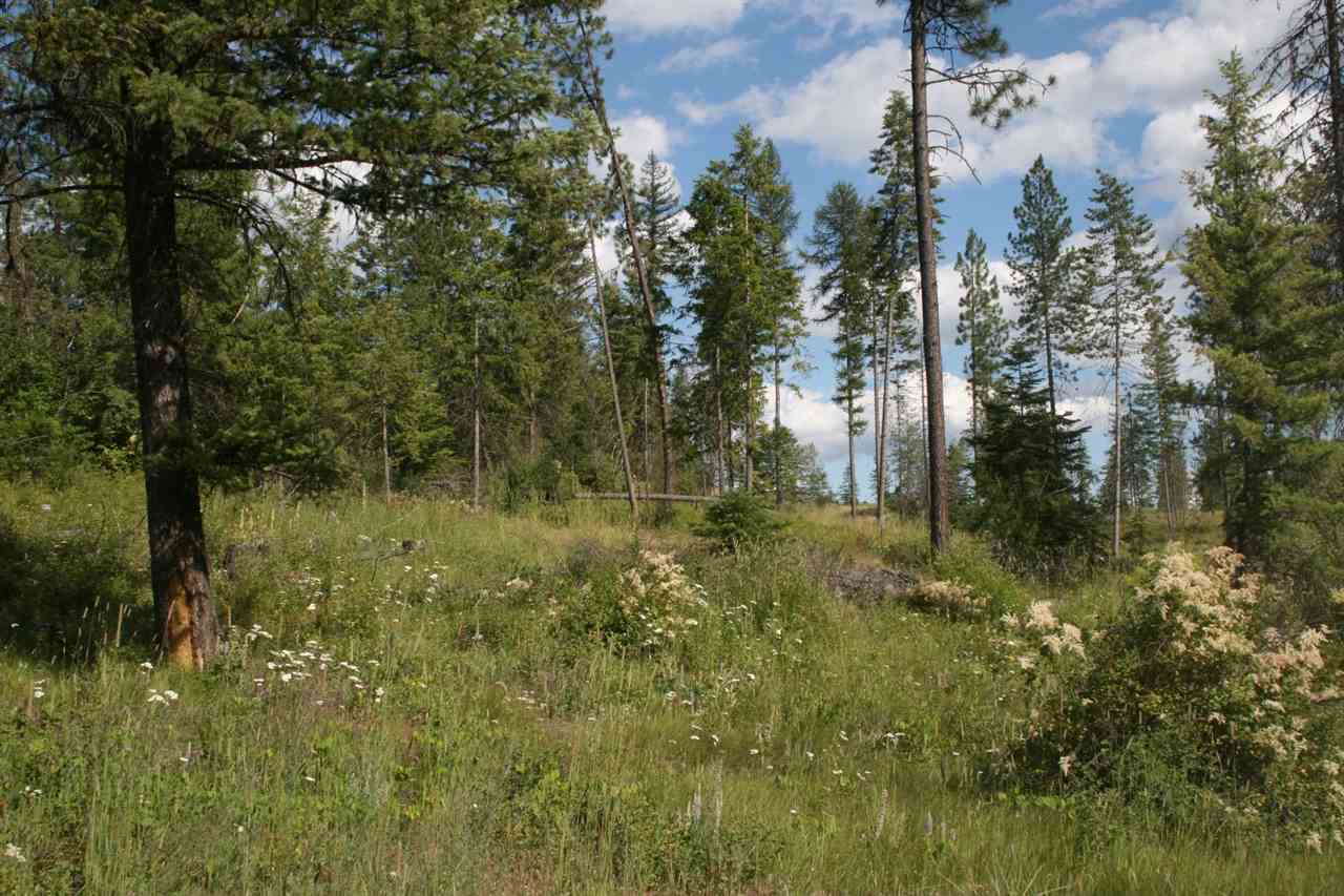0 Olinger Road, Unit LOT A Springdale, WA 99173 - Photo 6 of 7