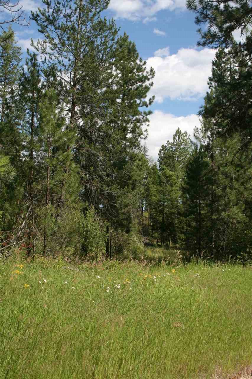 0 Olinger Road, Unit LOT A Springdale, WA 99173 - Photo 7 of 7