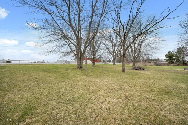 a view of a field with a tree