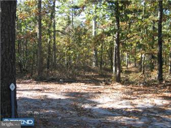 748 Sooy Place Road Vincentown, NJ 08088 - Photo 8 of 8 View