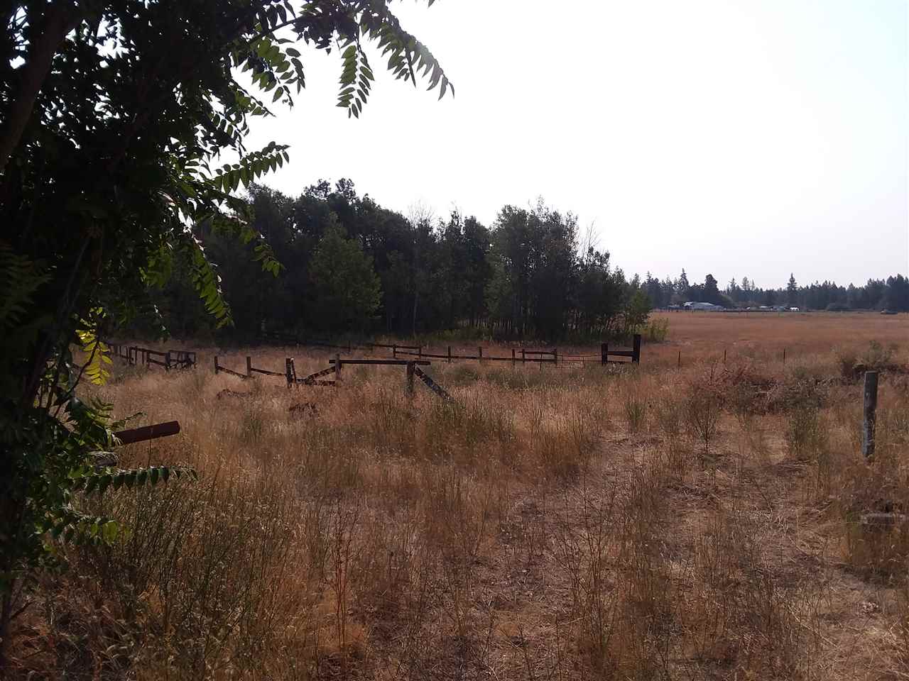 7122 South Spotted Road Cheney, WA 99004 - Photo 2 of 4