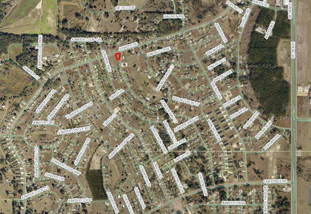 Juniper Loop Circle Ocala, FL 34480 - Photo 3 of 3