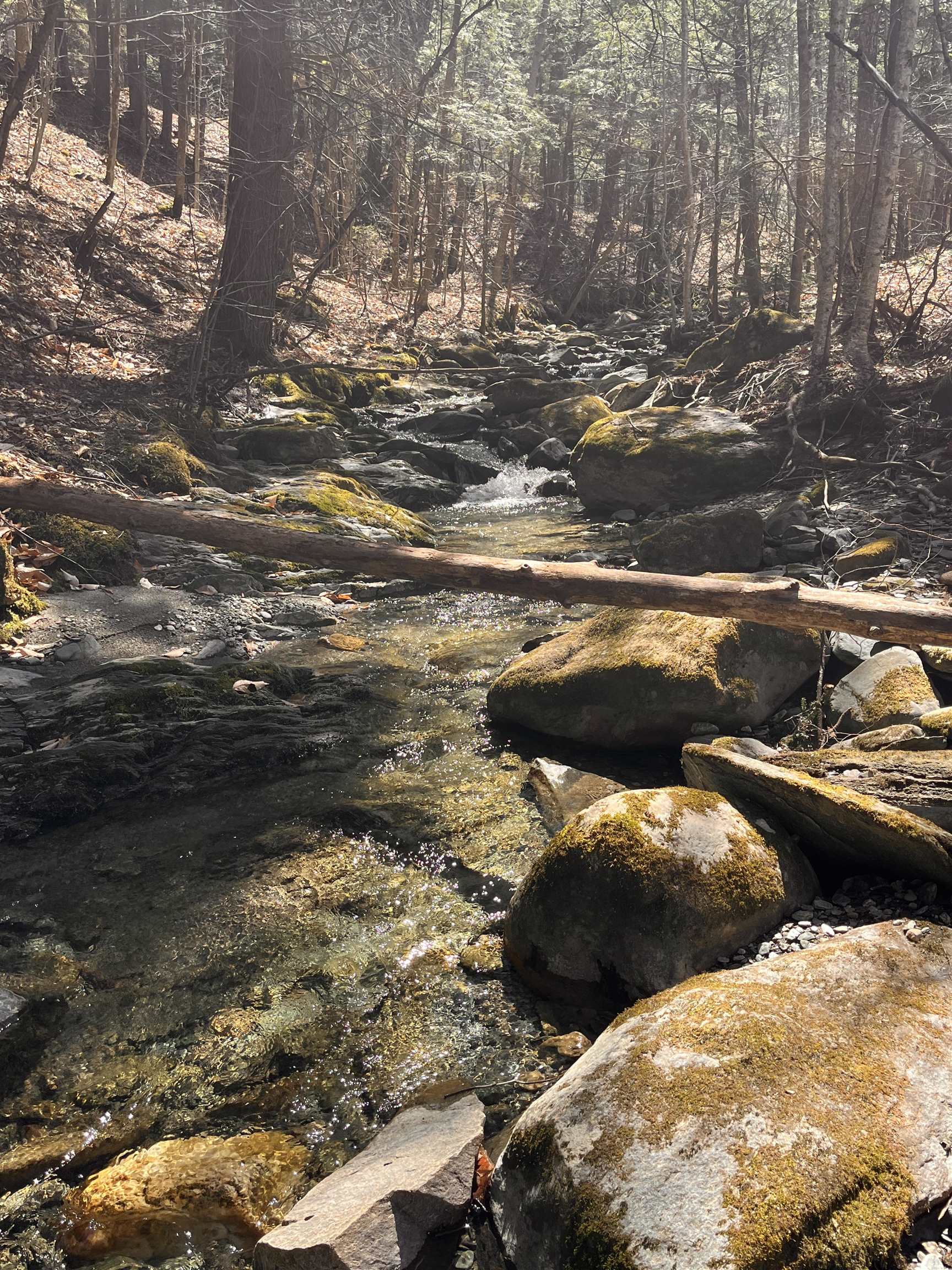 1407 Moretown Mountain Road Moretown, VT 05660 - Photo 32 of 35