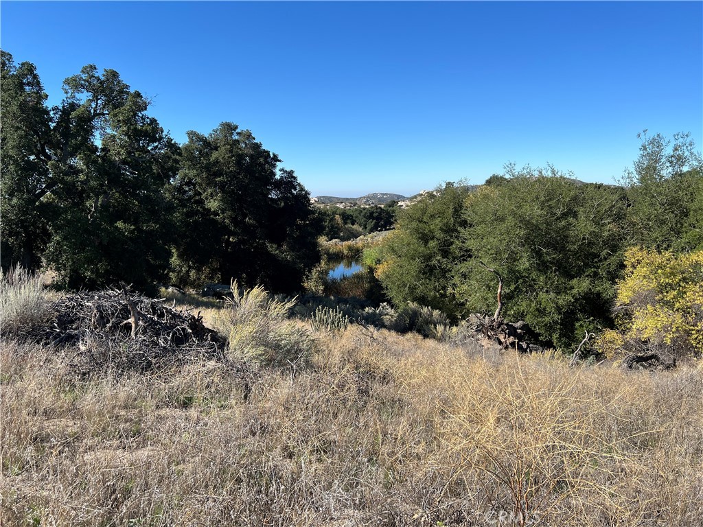 2809 Miller Valley Road Pine Valley, CA 91962 - Photo 9 of 14 a view of a dry yard