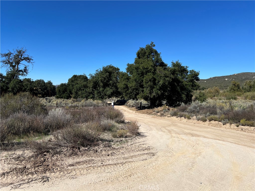 2809 Miller Valley Road Pine Valley, CA 91962 - Photo 10 of 14 a view of a dry yard covered with snow