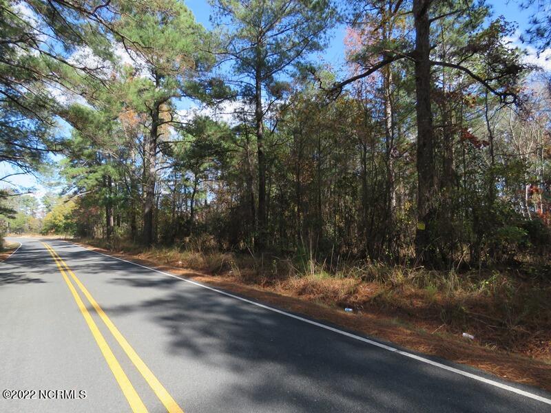 0 Lovette Road Lumberton, NC 28358 - Photo 12 of 39 IMG_6285