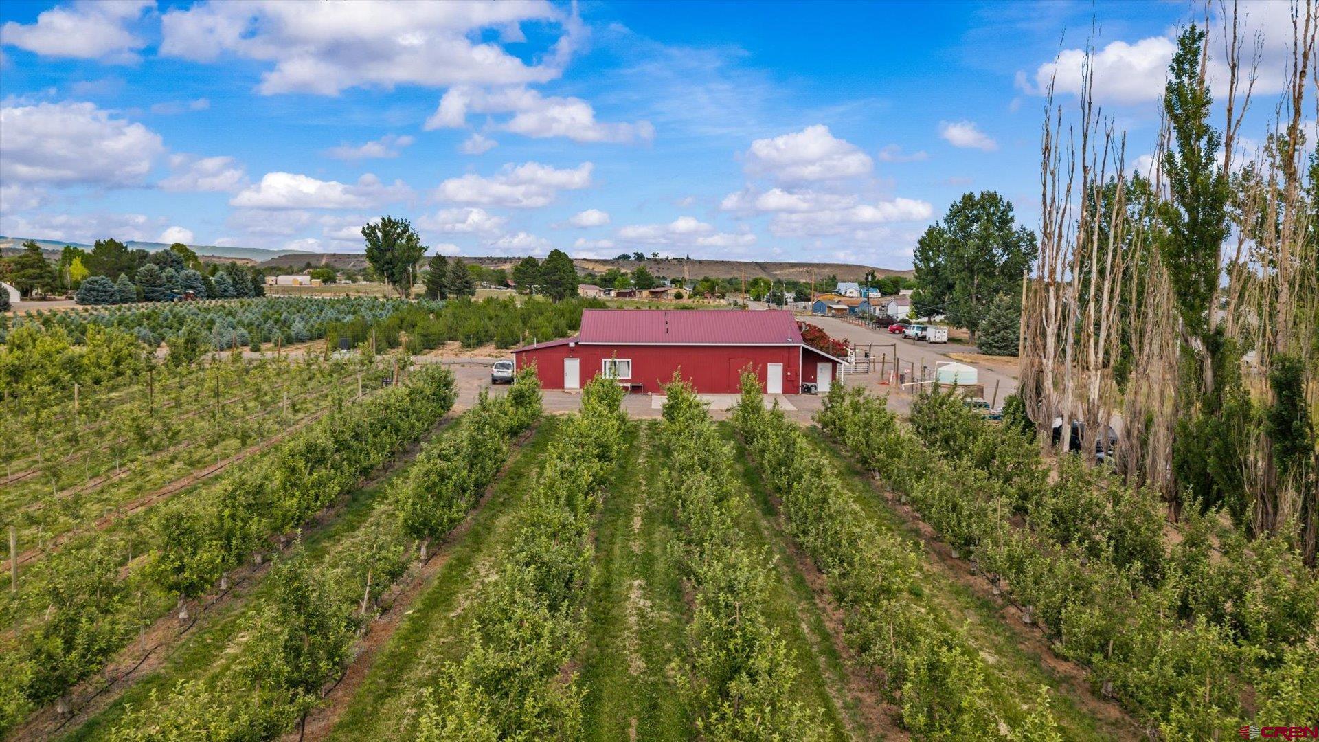 20809 Nowhere Road Eckert, CO 81418 - Photo 25 of 45 a view of a houses with a yard