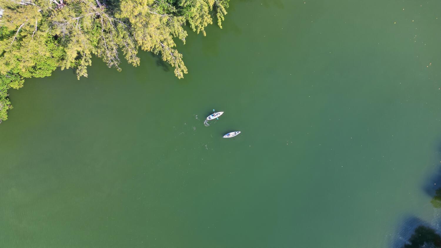 500 Ocean Trail Way, Unit 111 Jupiter, FL 33477 - Photo 26 of 35 Kayaking in Estuary