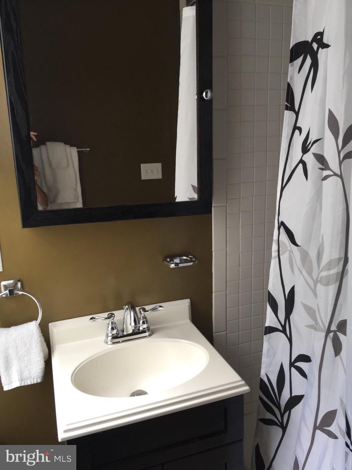 166 Clymer Street Reading, PA 19602 - Photo 7 of 7 2nd floor bathroom-tub/shower