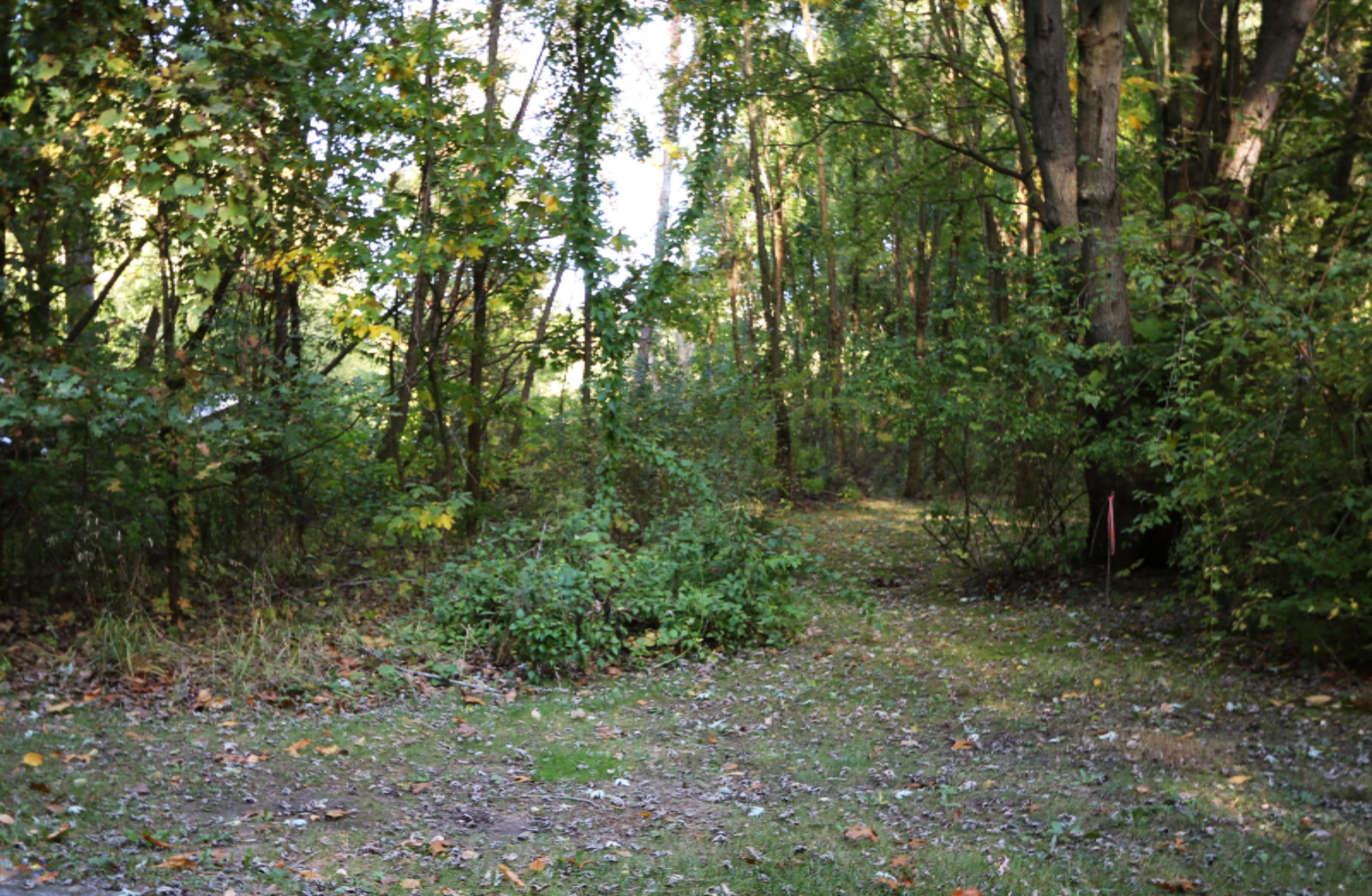 15889 Locke Road Union Pier, MI 49129 - Photo 3 of 11 Locke Road Parcel from street