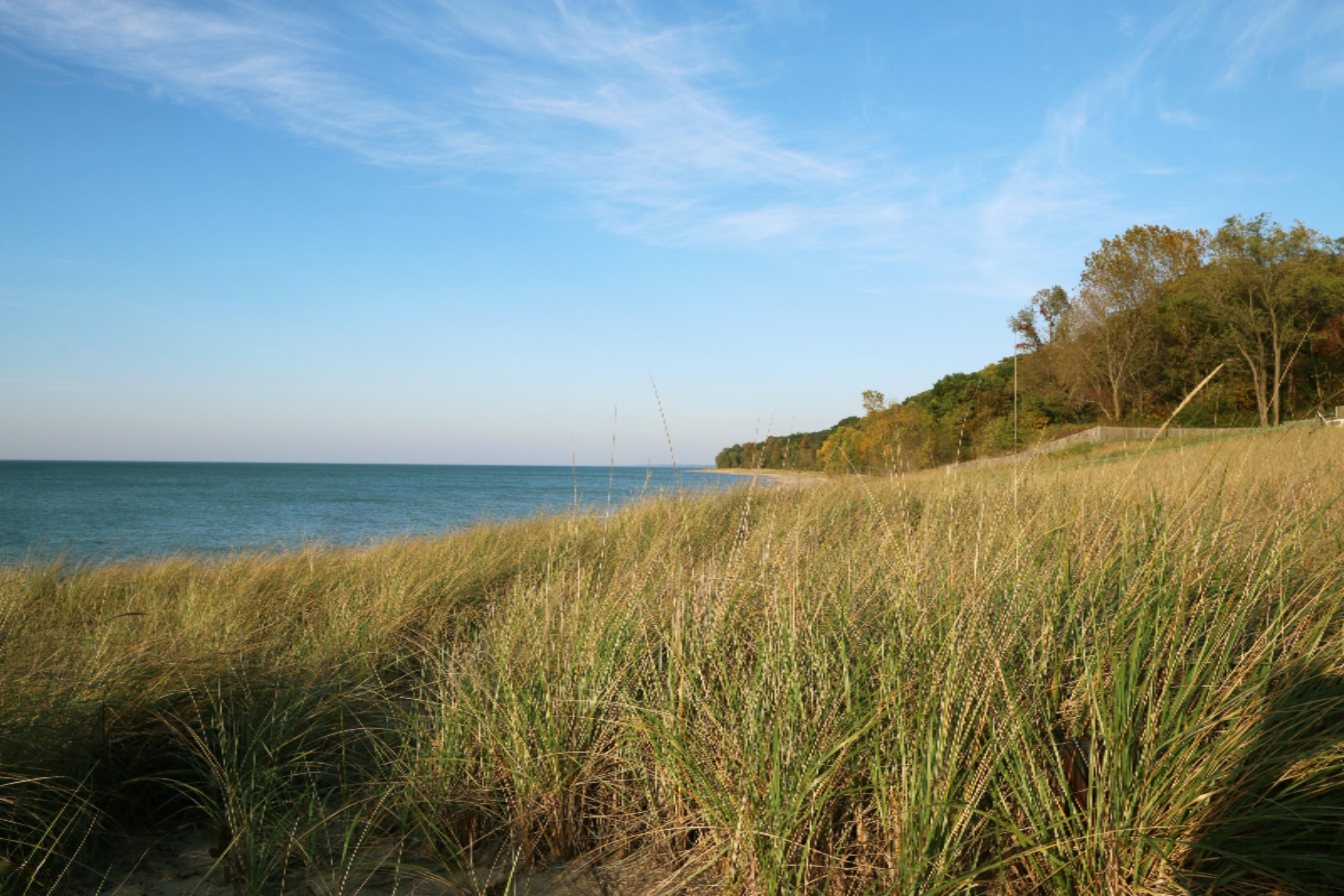 15889 Locke Road Union Pier, MI 49129 - Photo 7 of 11 Luna Gowdy Streed Beach Dune View