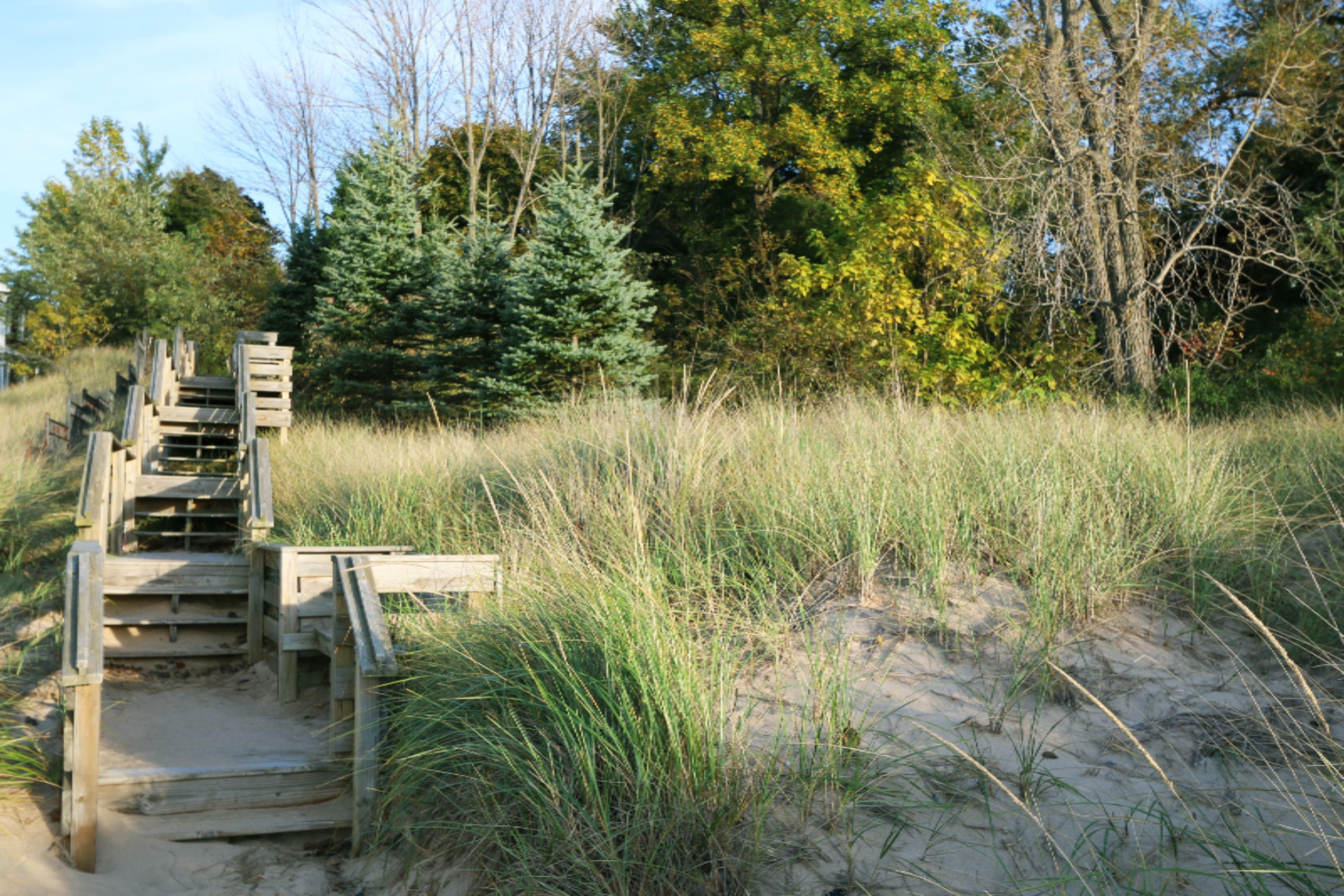 15889 Locke Road Union Pier, MI 49129 - Photo 9 of 11 Luna Gowdy Streed Beach Stairs From Beac