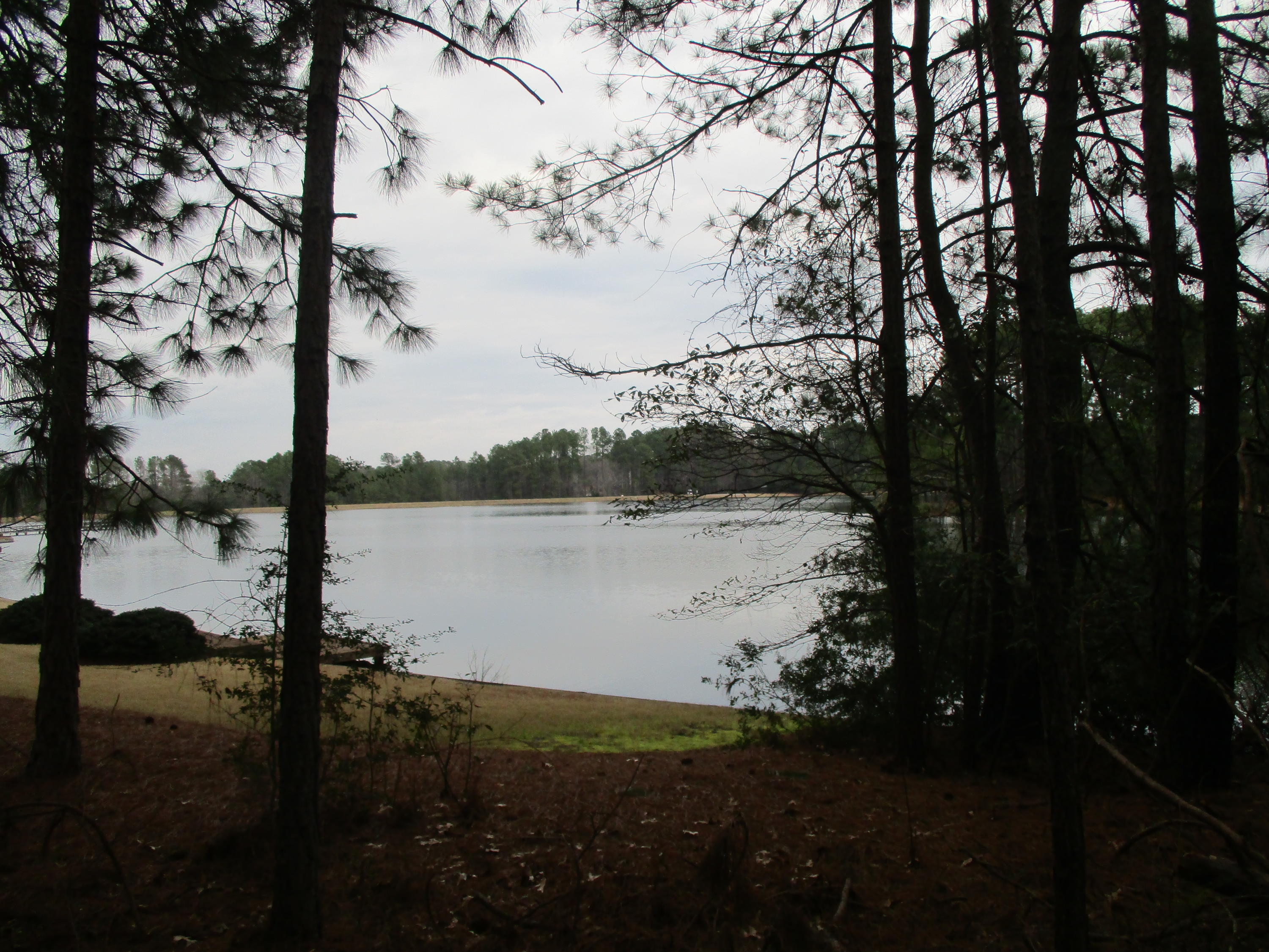 265 Spanton Crescent Pooler, GA 31322 - Photo 14 of 17 IMG_6679