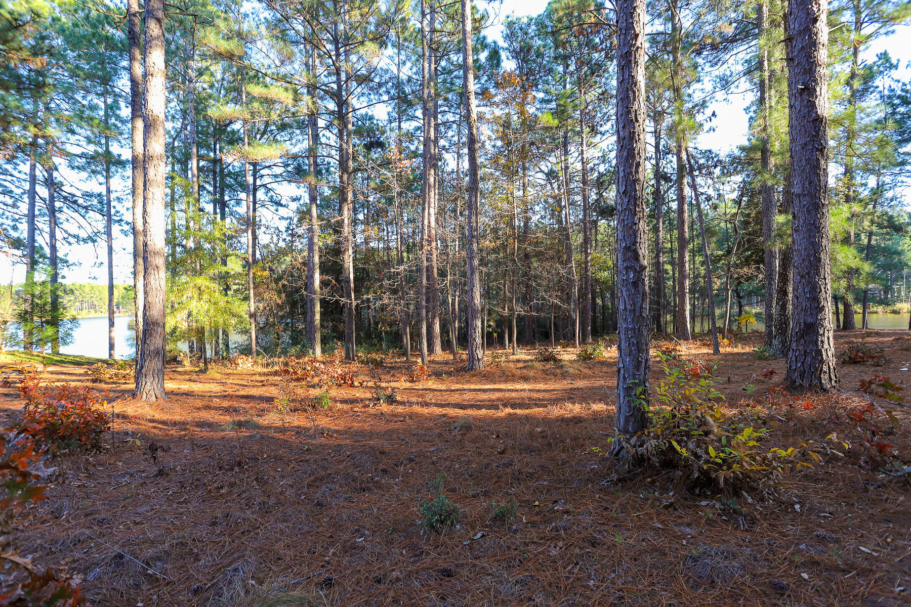 265 Spanton Crescent Pooler, GA 31322 - Photo 4 of 17 27 Abington Dr New-7
