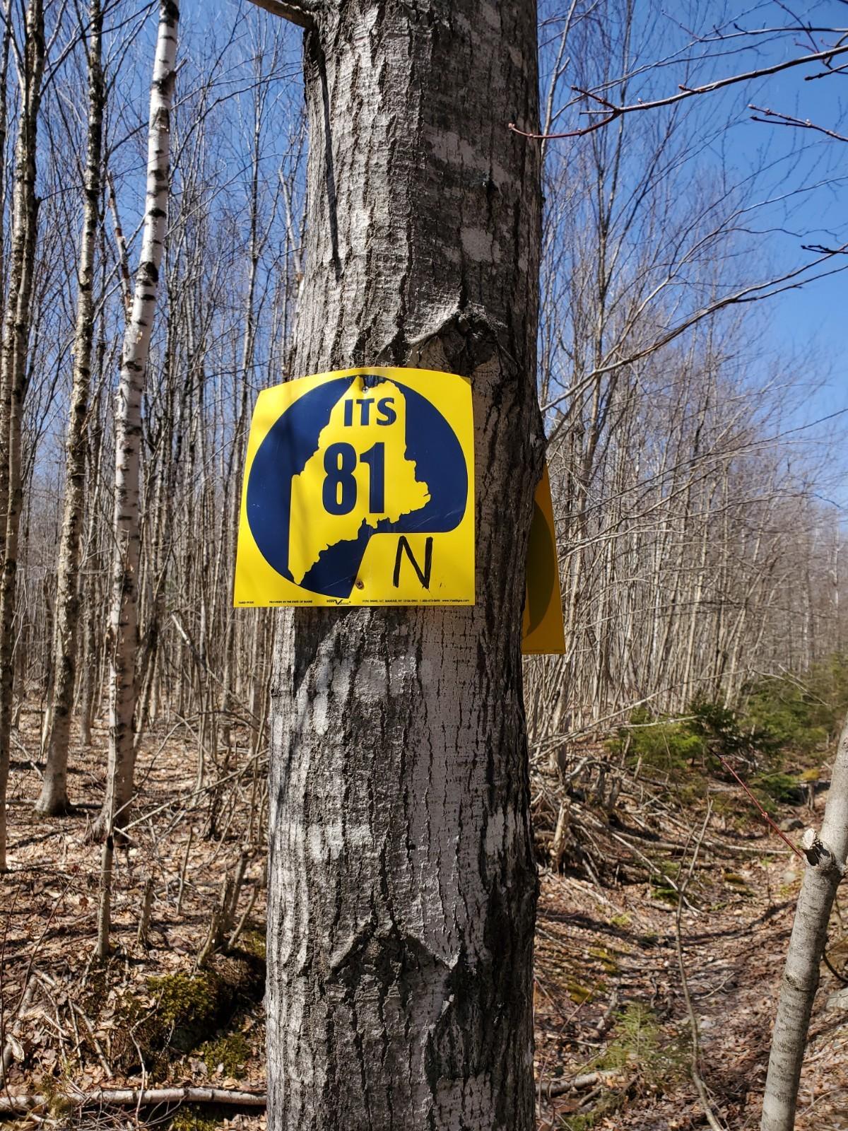 Lot 23 Allsbury Rd Mount Mount Chase, ME 04765 - Photo 6 of 6 20210424_114908