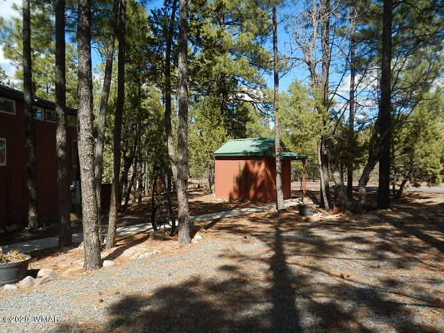 3721 Horseshoe Loop Show Low, AZ 85901 - Photo 5 of 44 a view of a house with a yard