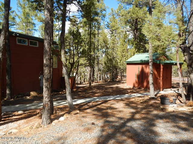 3721 Horseshoe Loop Show Low, AZ 85901 - Photo 6 of 44 a view of a house with backyard and trees