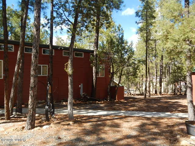 3721 Horseshoe Loop Show Low, AZ 85901 - Photo 8 of 44 a street view with large trees