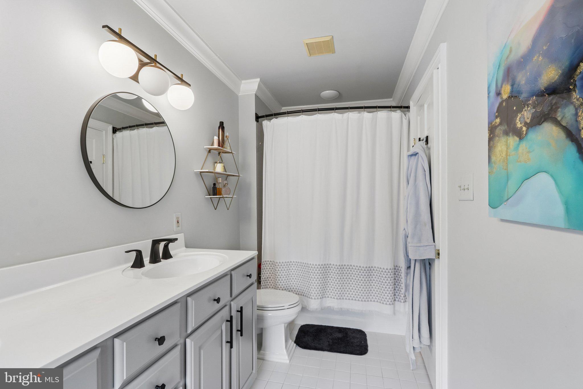 209 Welsh Road Ambler, PA 19002 - Photo 47 of 80 a bathroom with a sink a toilet and a mirror