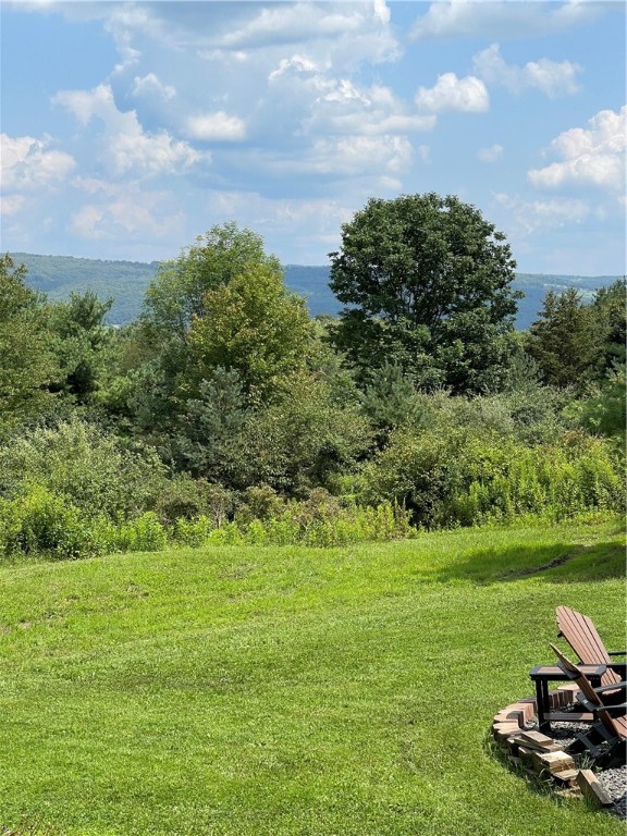 3651 Roloson Hill Road Dix, NY 14864 - Photo 15 of 23