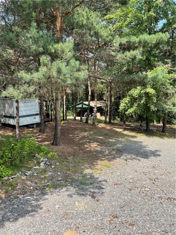 3651 Roloson Hill Road Dix, NY 14864 - Photo 17 of 23